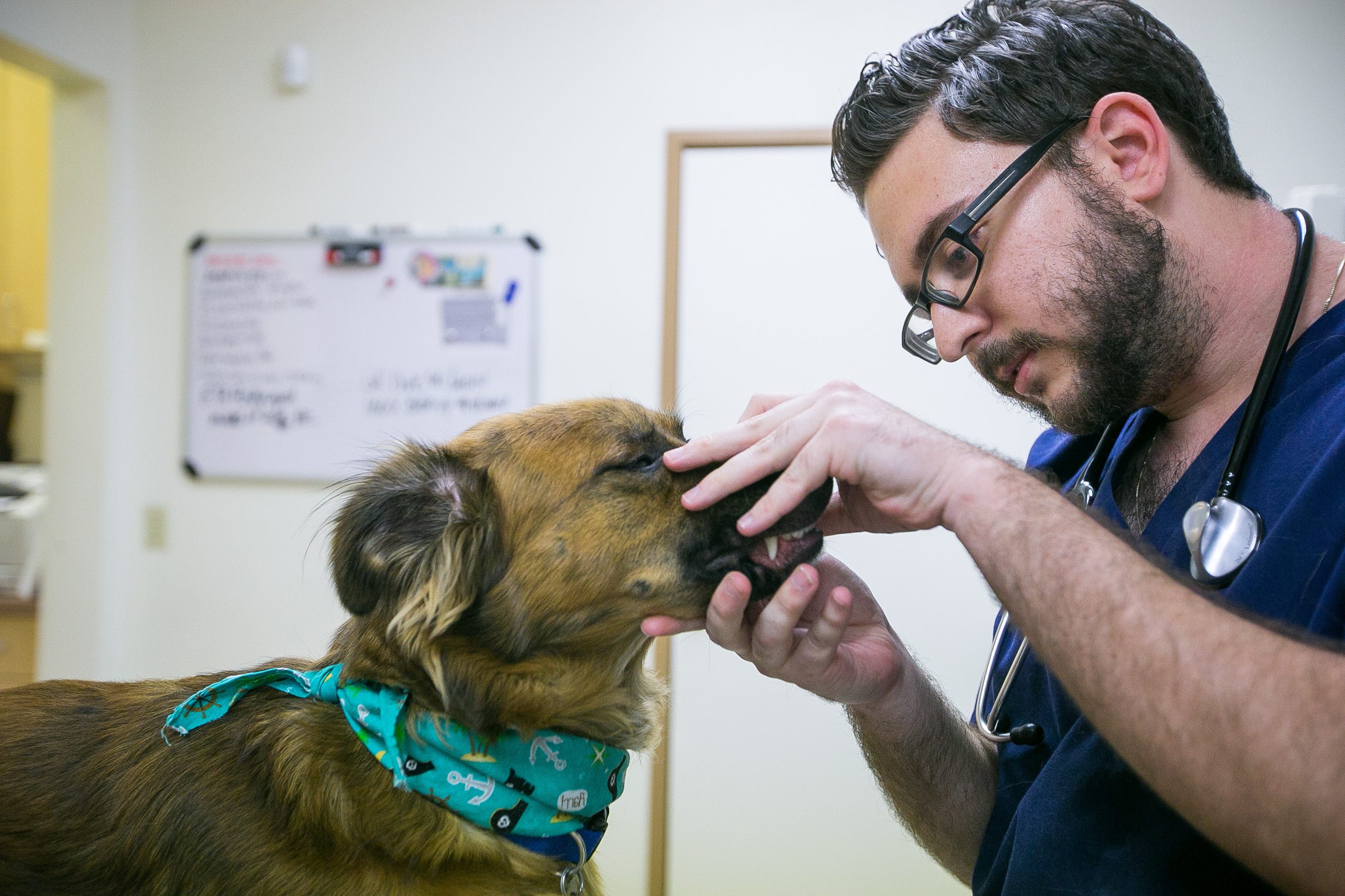 closest veterinarian to my location